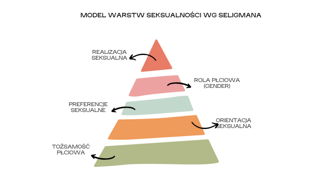 Wizualizacja modelu warstw seksualności Seligmana: opracowanie własne.